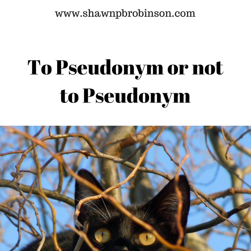 To Pseudonym or not to Pseudonym
